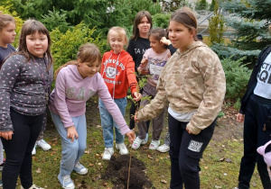 Uczniowie z klasy IIIb sadzą drzewka